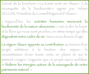 Extrait de la brochure « La trame verte en Alsace- A la reconquête de la biodiversité » signée par Adrien ZELLER, Président du Conseil Régional d’Alsace :
«  Aujourd’hui, les activités humaines menacent la biodiversité de la nature alsacienne, c’est-à-dire la faune et la flore qui nous sont proches, en même temps qu’elles dégradent notre cadre de vie. Nous nous devons d’agir.
La région Alsace apporte sa contribution au travers d’un projet ambitieux à la hauteur des  enjeux : la reconstitution d’une trame verte en plaine et sur le piémont vosgien. Gageons que ce projet saura mobiliser et fédérer les énergies autour de la sauvegarde de notre patrimoine naturel. »